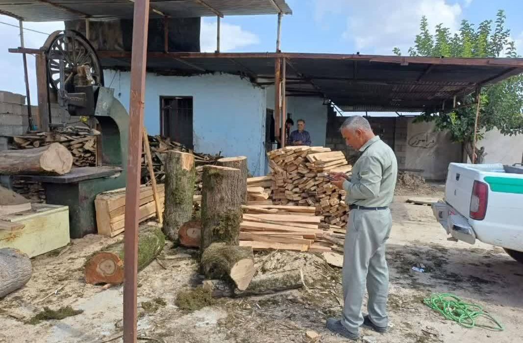 کشف ۱۲۰ تن چوب نراد قاچاق در گیلان