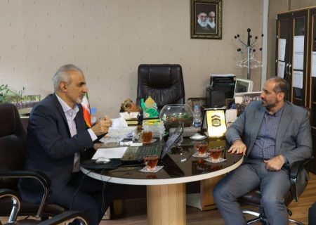 سازمان بیمه سلامت ایران یکی از سازمانهای پیشگام در توسعه دولت الکترونیک است
