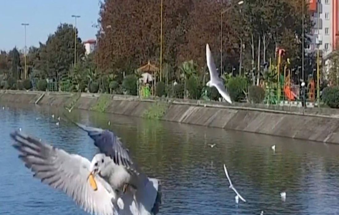 گیلان مقصد گردشگری ۴۰ میلیون گردشگر