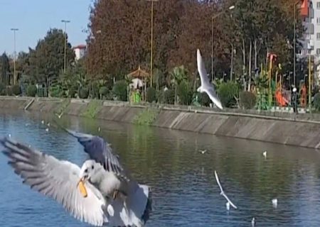 گیلان مقصد گردشگری ۴۰ میلیون گردشگر