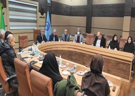 توسعه کلینیک‌های جامع و معرفی رشت به عنوان «شهر دوستدار سالمند»