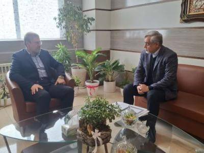 میرغضنفری: انتخابات باید با وفاق، قانون‌مداری و مشارکت حداکثری مردم برگزار شود