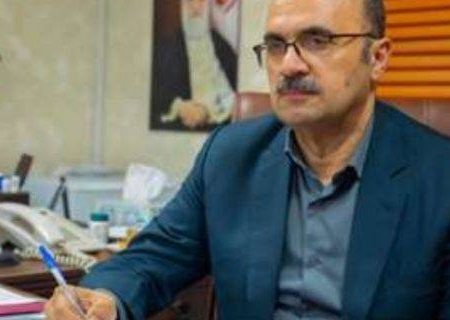 ایجاد بازار هدف؛ گامی مؤثر در فروش پایدار تولیدات داخلی