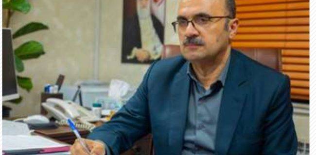 ایجاد بازار هدف؛ گامی مؤثر در فروش پایدار تولیدات داخلی