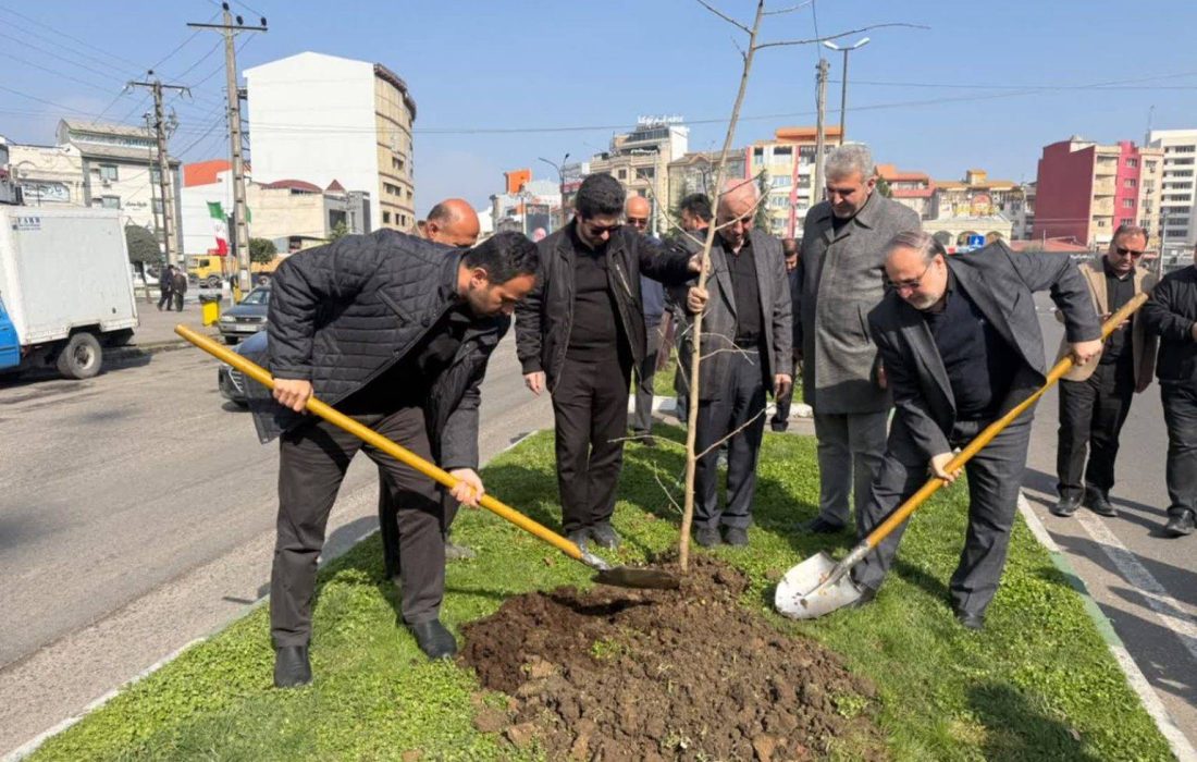 آغاز کاشت درختان بومی در سطح شهر