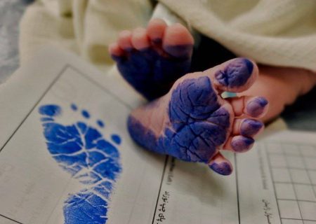 تولد بیش از ۲۸۰ نوزاد در گیلان
