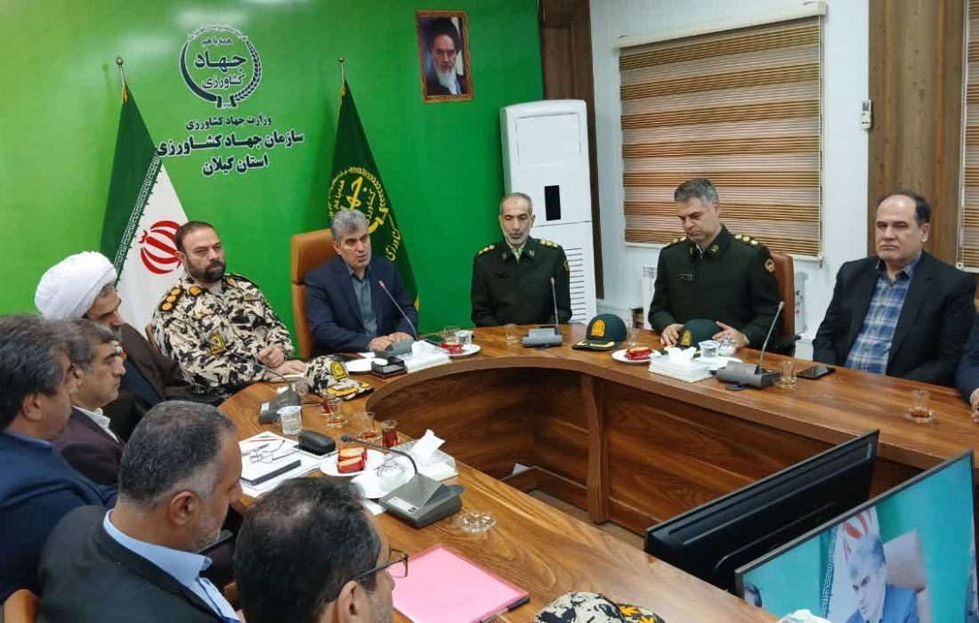 سوءاستفاده زمینخواران از تعطیلات برای تغییر کاربری اراضی کشاورزی گیلان