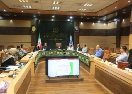 برگزاری جلسه کارگروه دانشگاهی سلامت گوش و مراقبت از شنوایی / تاکید رئیس دانشگاه علوم پزشکی گیلان بر غربالگری بهنگام و ارتقای خدمات درمانی
