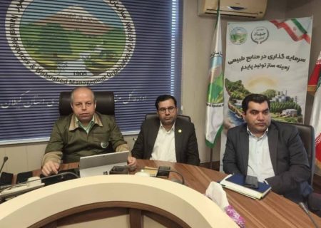 رتبه نخست استان گیلان در تولید وکاشت نهال جنگلی در کشور
