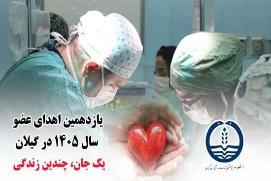 مهدی رمضانی حیاتبخش بیماران نیازمند عضو شد