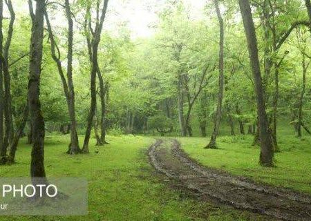 رشد ۱۳ درصدی رفع تصرف اراضی ملی در گیلان