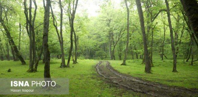 رشد ۱۳ درصدی رفع تصرف اراضی ملی در گیلان