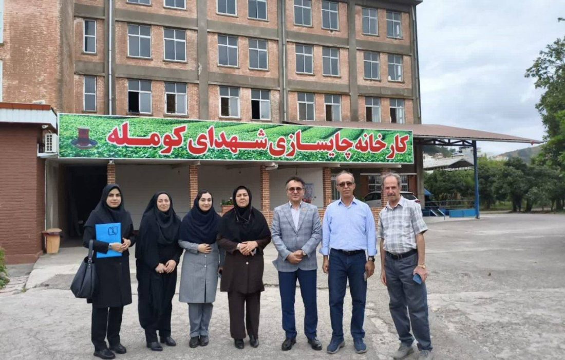 استانداردسازی اعتماد به چای گیلان را افزایش میدهد
