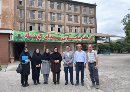 استانداردسازی اعتماد به چای گیلان را افزایش می‌دهد